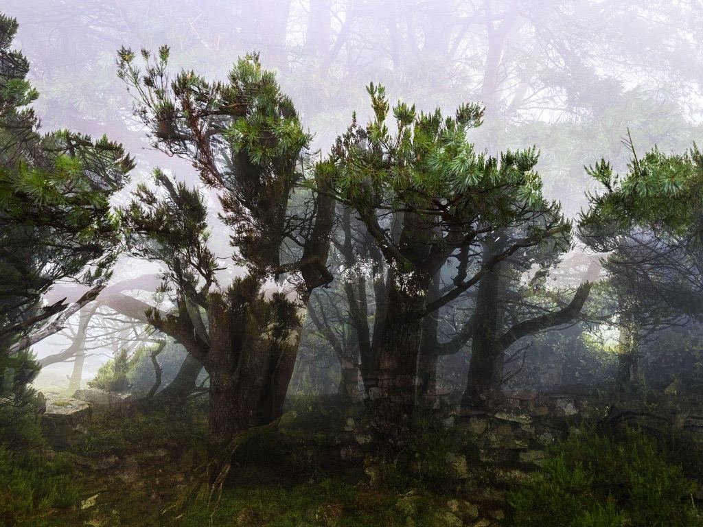 Camino Primitivo – photograph 3