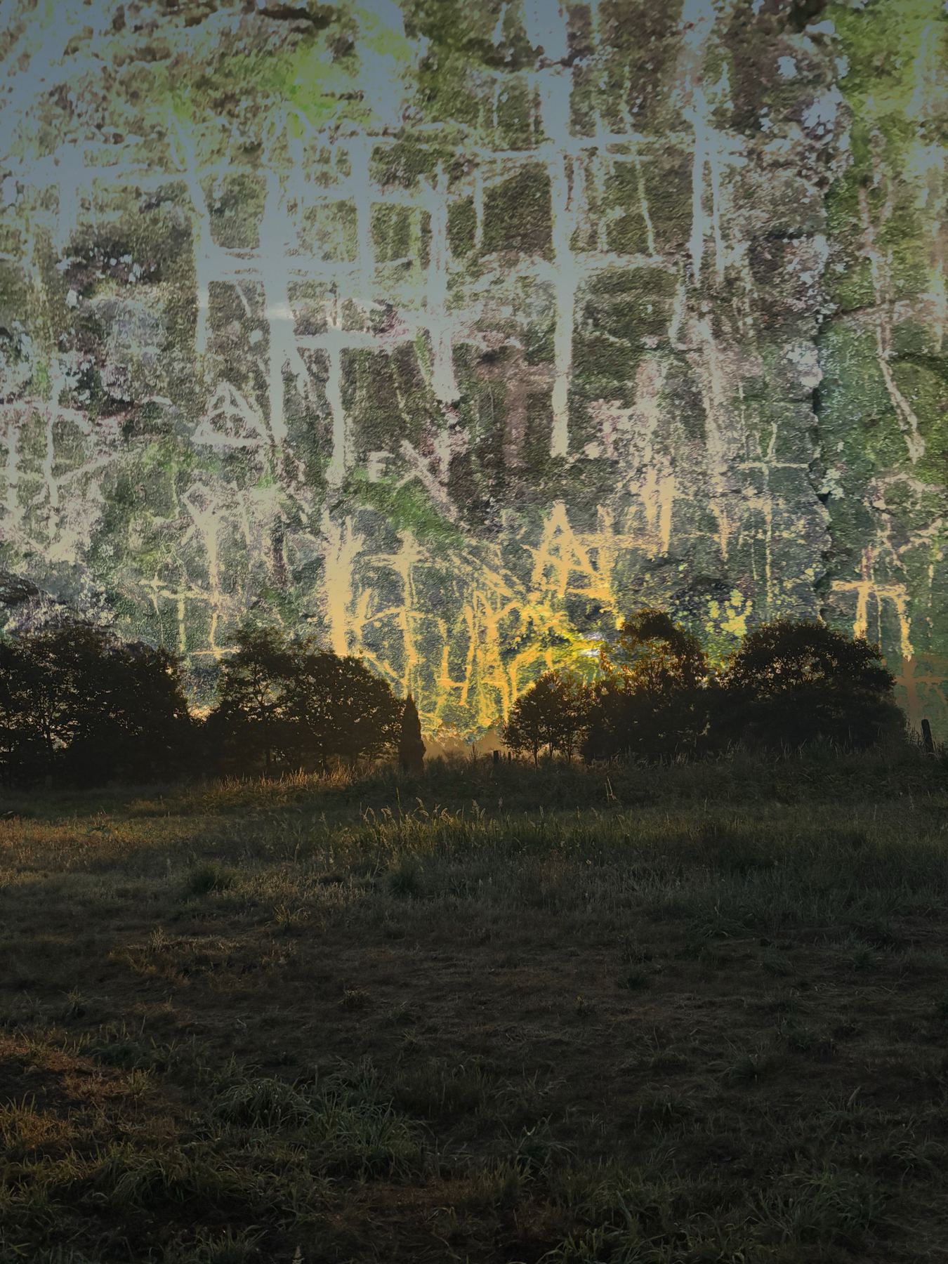 Camino Primitivo – photograph 1
