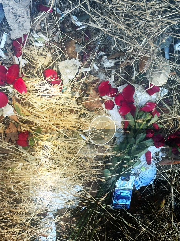 Istanbul – photograph 5