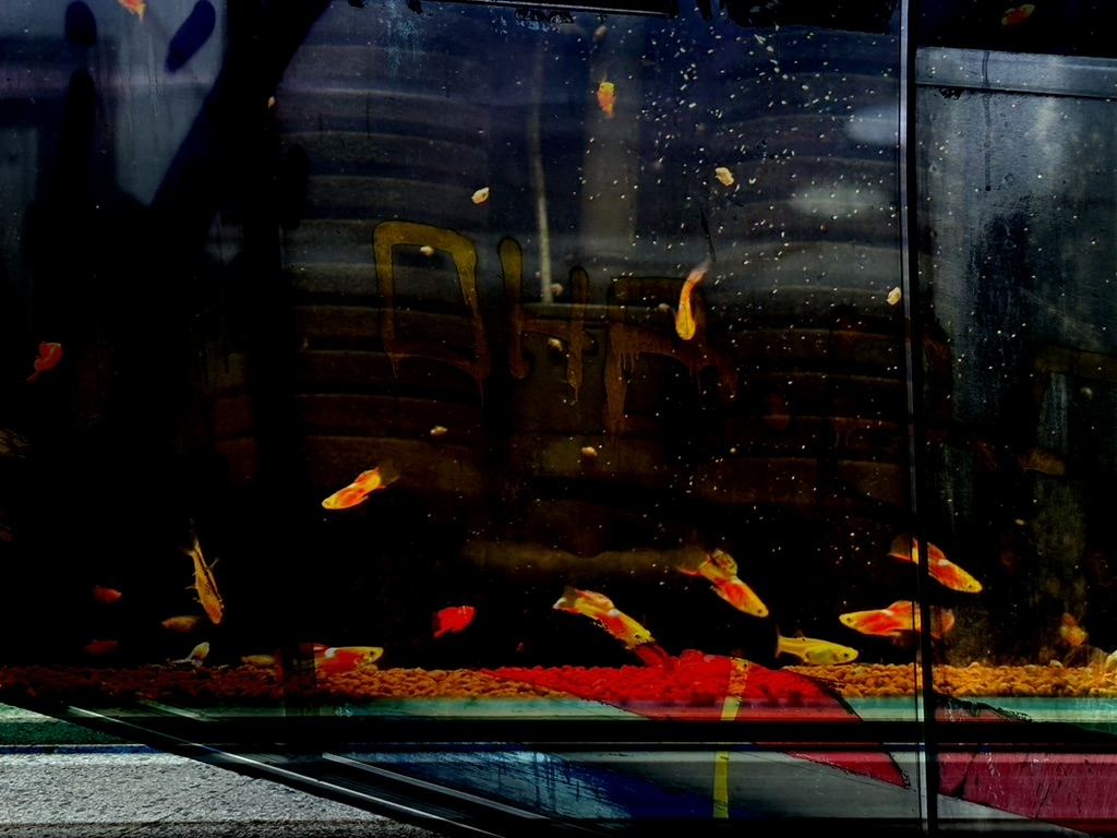 Istanbul – photograph 4