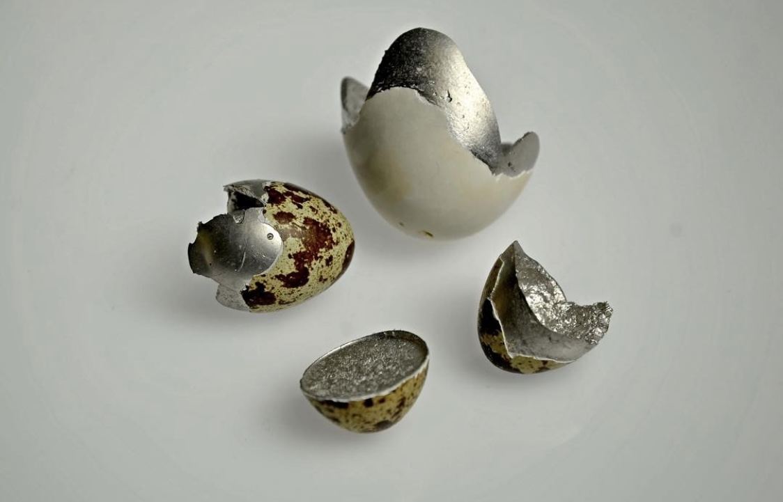 Materiality of Disaster. 2