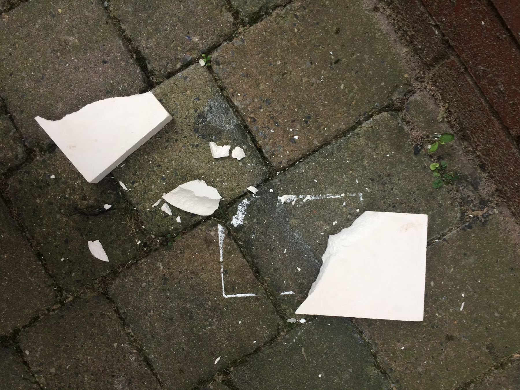 Materiality of Disaster. 4
