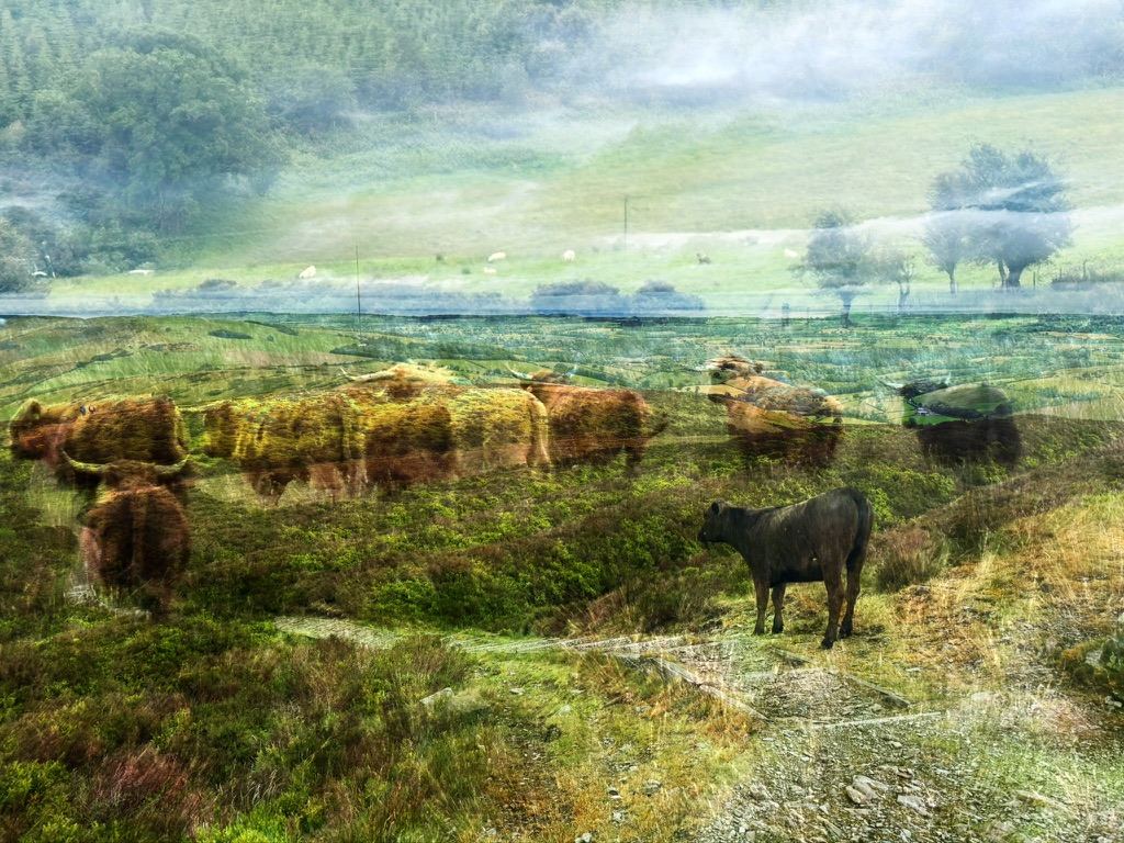 Offa’s Dyke – photograph 3