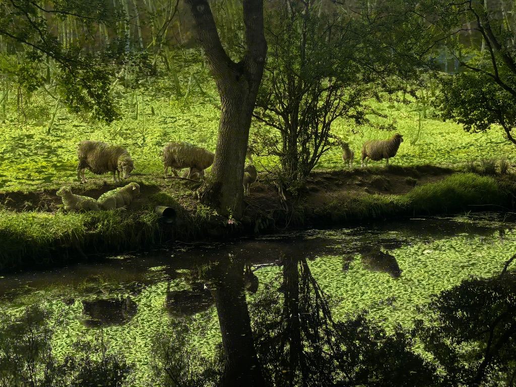 Offa’s Dyke – photograph 11