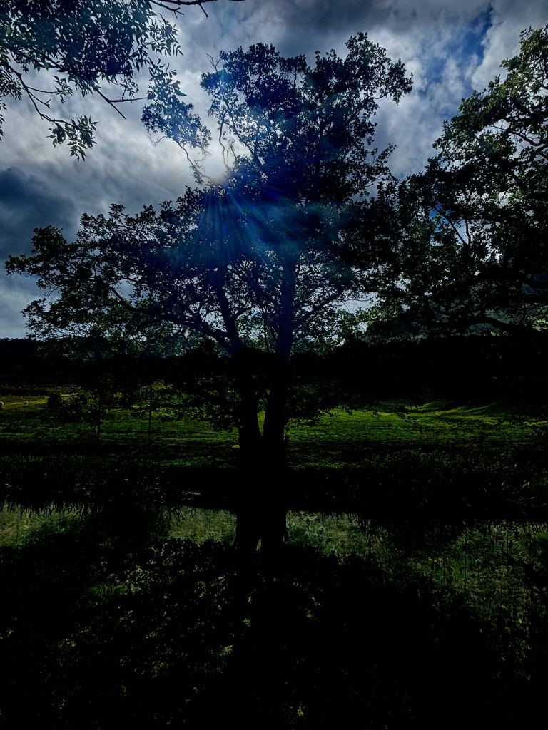 Offa’s Dyke – photograph 12