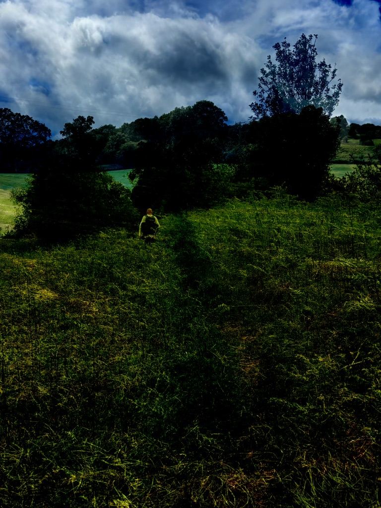 Offa’s Dyke – photograph 2