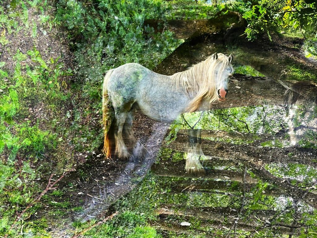 Offa’s Dyke – photograph 5