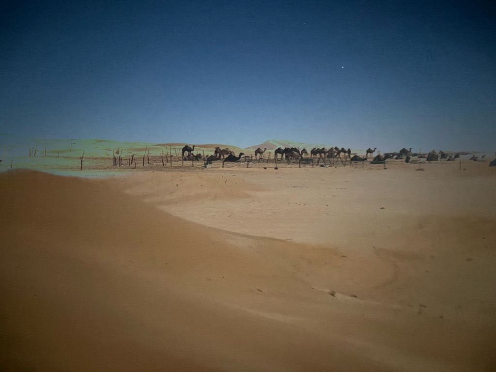 Oman – photograph 9
