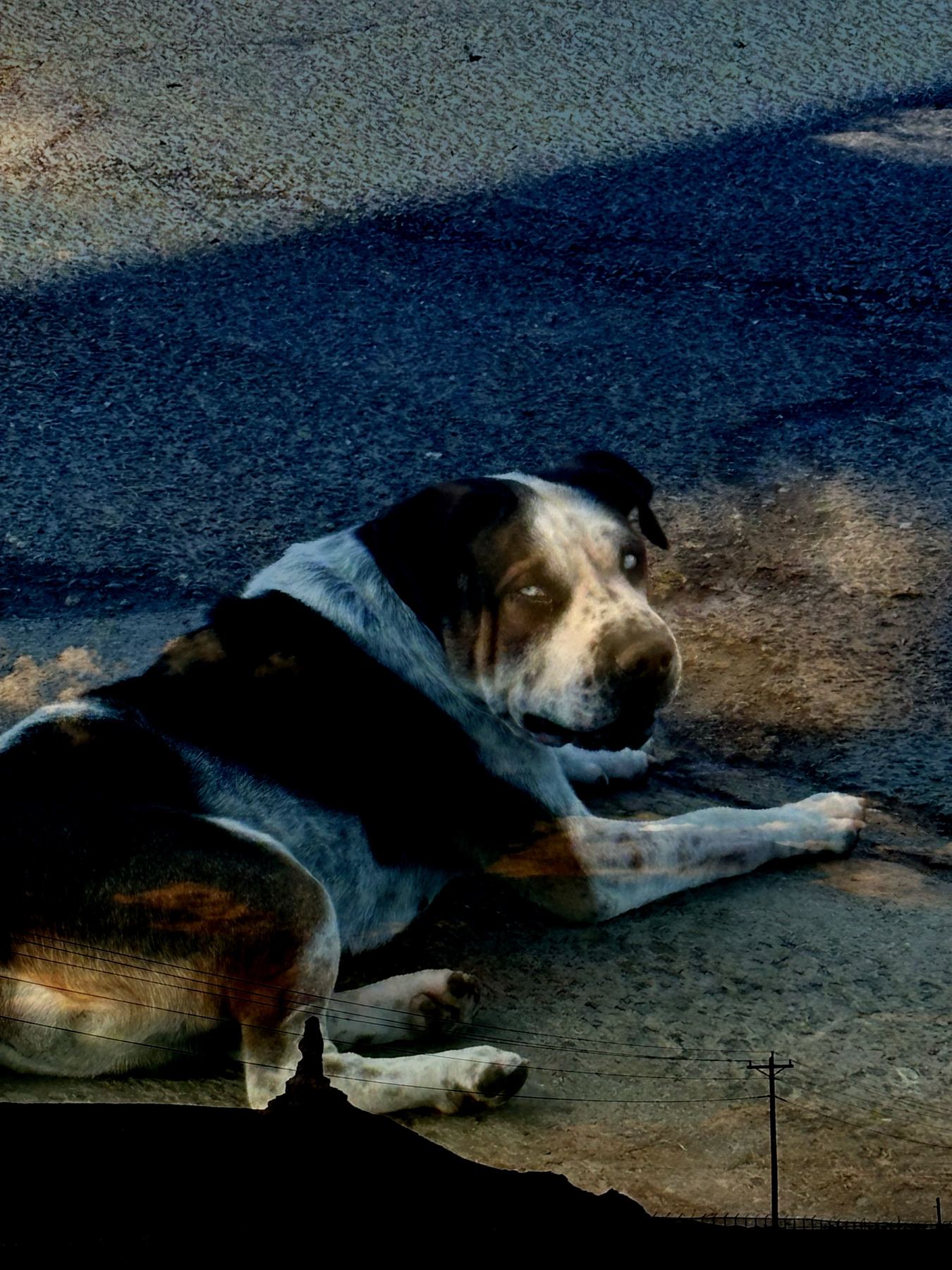 USA – photograph 10